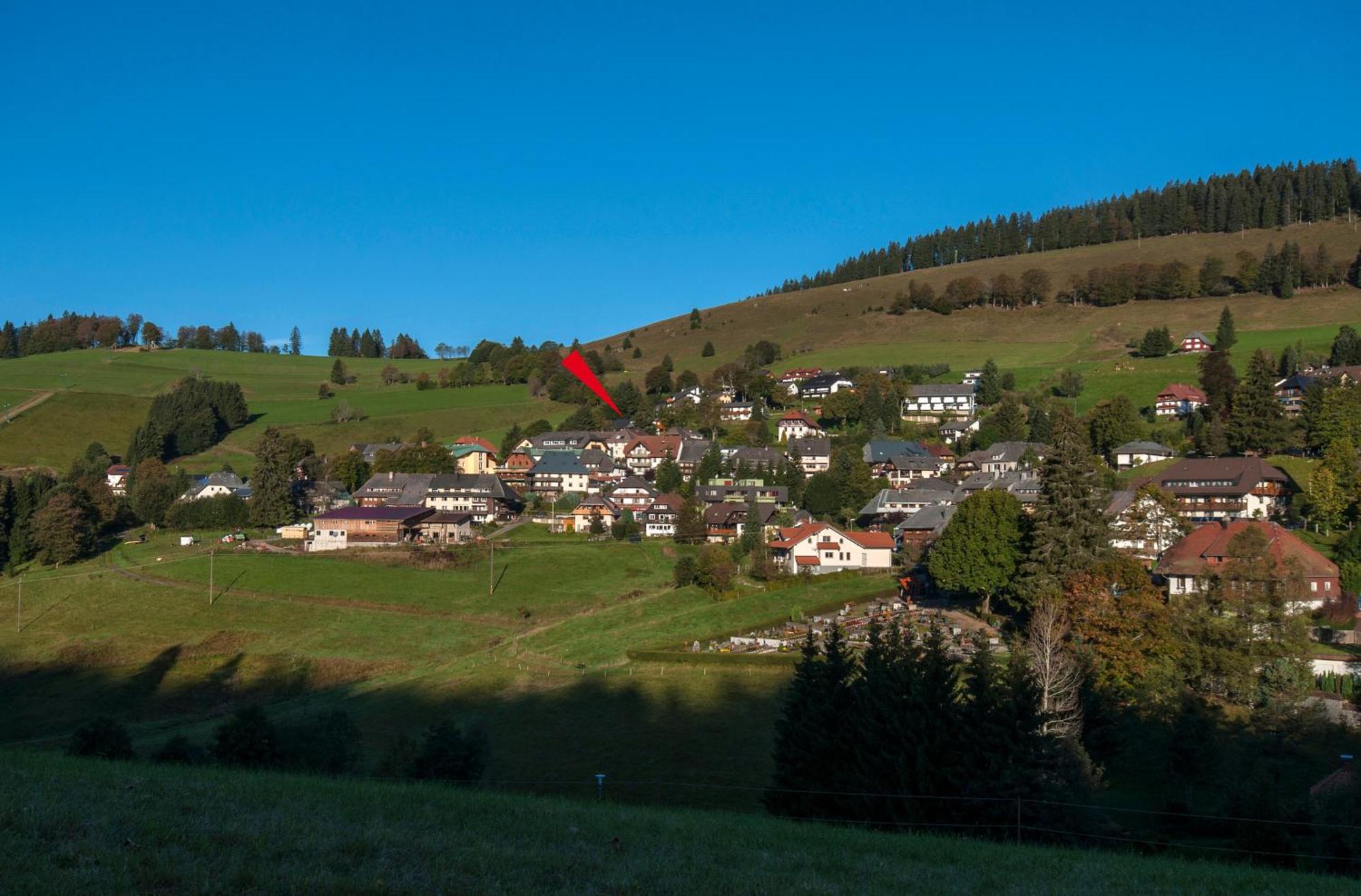 Apartment 03 - Ferienresidenz Roseneck, Mit Schwimmbad In Todtnauberg Bei Feldberg Ngoại thất bức ảnh