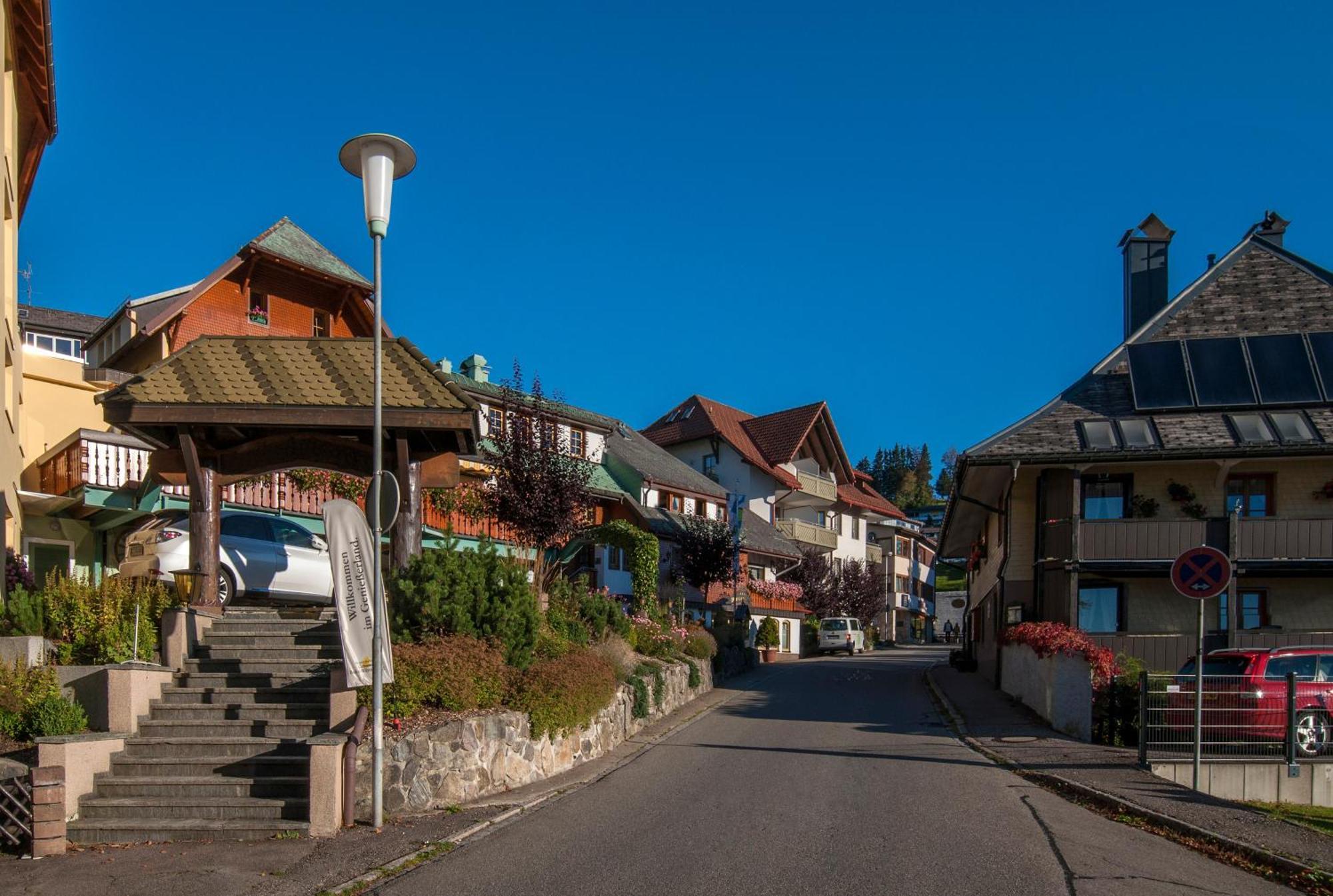 Apartment 03 - Ferienresidenz Roseneck, Mit Schwimmbad In Todtnauberg Bei Feldberg Ngoại thất bức ảnh
